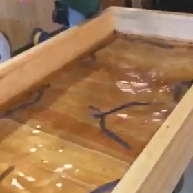 鰻屋  上げ方パターン レア回しあげの画像