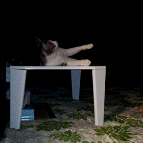 痛みもストレス_|￣|○の画像