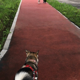 古都の遊び方  ⑤の画像