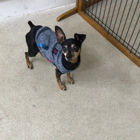 ♪プレイルーム動画♪の画像