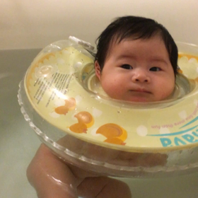 そろそろの画像