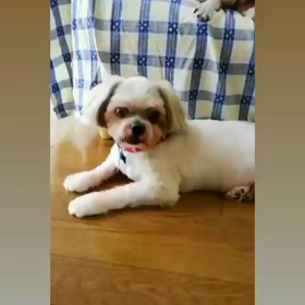 大好きな時間の画像