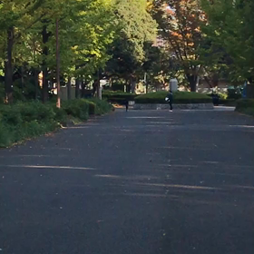 記録会 男子Bグループ⑩の画像