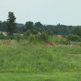 今度こそ本物！の画像