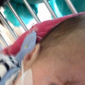 動くノア君。の画像