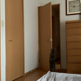 給食解除なるかの画像