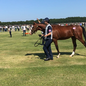 ボシンシェの17のツアー動画の画像