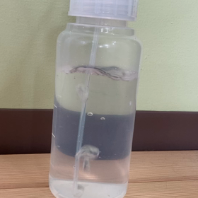 オゾン水消毒に使う噴霧器がパワーUPしました^_^の画像