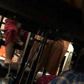 ♪Jazzyな子猫の画像