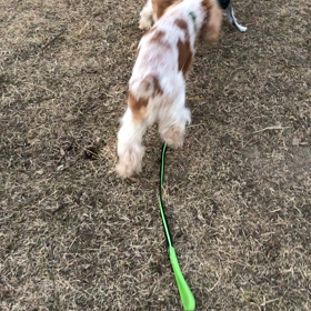 モテモテの画像