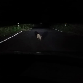 田舎のいいところの画像