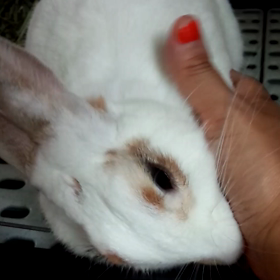 朝から、こんな感じですの画像