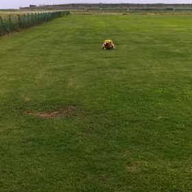 梅雨時期のブーの画像