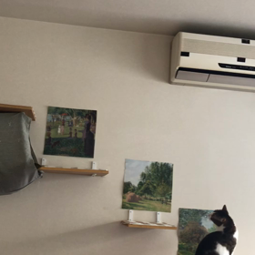 今日のジム通いと帰宅した母から…困った電話！の画像