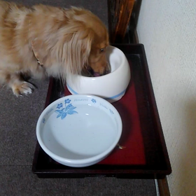 雨の日曜日の画像