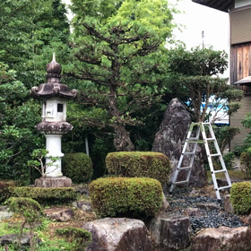 庭の剪定終わりましたの画像