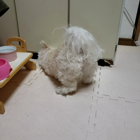 子供は親を選べない②の画像