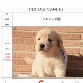 しゃべったー！！！の画像