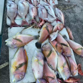 令和３年８月29日(土)　☀晴の画像