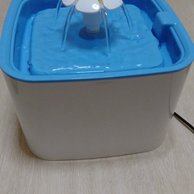 不思議なことの画像