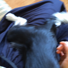 ■先生が大好き■の画像