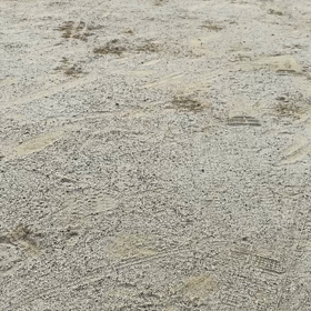 狂犬病予防の画像