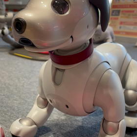 31回目の結婚記念日に。の画像