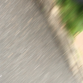 猫ネコちゃんトイレ後始末夢中不意打ちの画像