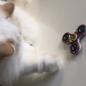 フン フ〜ン♫の画像