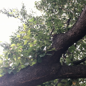 ET6 心を穏やかにするために。の画像