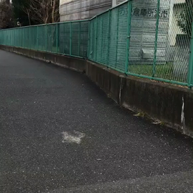 女子ロード練習③の画像