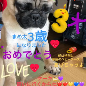 2018.09.12★祝3歳★の画像