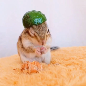 えいっ‼︎の画像