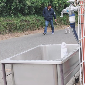 しつけは難しいの画像