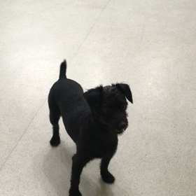 ♪プレイルーム動画♪の画像