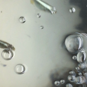 おはようございます^_^の画像