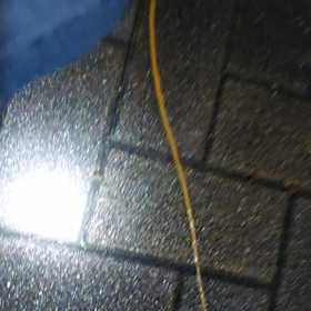 おはようございます！UMA？発見かと思った…(動画あり)の画像