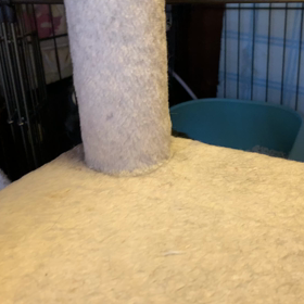 ビビりすぎの画像