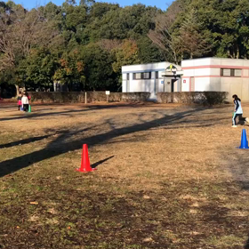 低学年リレー⑤の画像