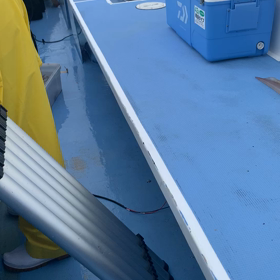 8点掛けも！の画像