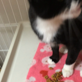 ついにこの日が(T_T)の画像