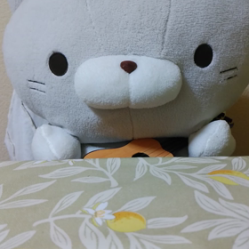 自宅隠りの画像