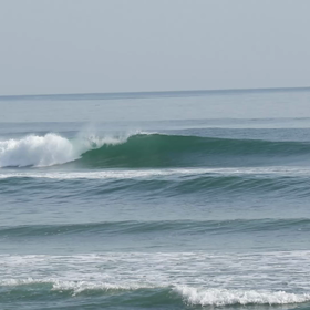 集中出来ねーの画像