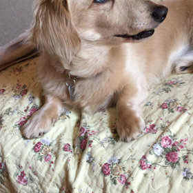 いじられココ(ToT)の画像