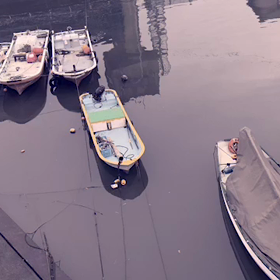 日間賀島の画像