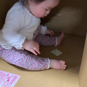 ダンボールで遊ぶ赤ちゃんの画像