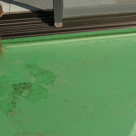 今朝の愛ちゃん。の画像