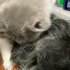 アイス君　投薬15日目の画像