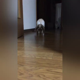 夜中の部屋んぽの画像