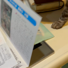 家族を守ることの画像